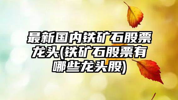 最新國內鐵礦石股票龍頭(鐵礦石股票有哪些龍頭股)