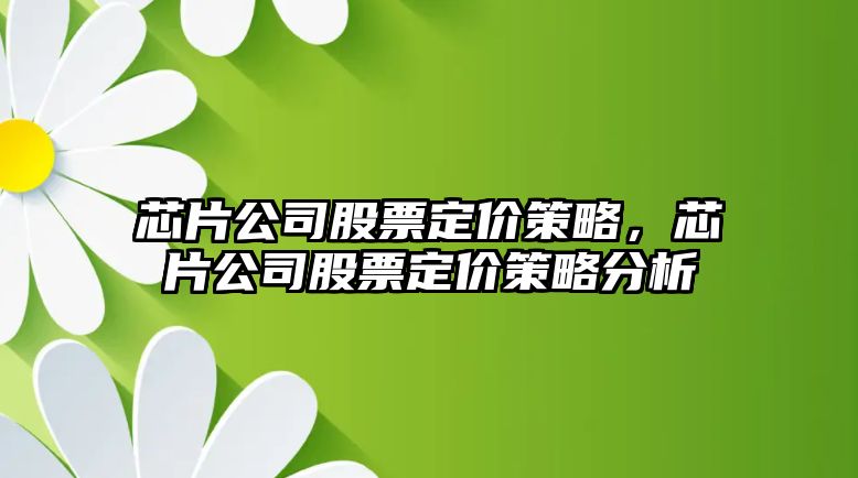 芯片公司股票定價(jià)策略，芯片公司股票定價(jià)策略分析