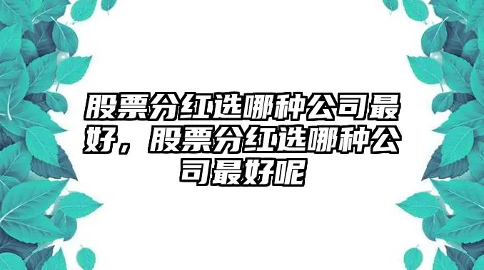 股票分紅選哪種公司最好，股票分紅選哪種公司最好呢