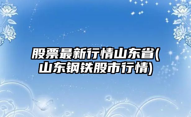 股票最新行情山東省(山東鋼鐵股市行情)