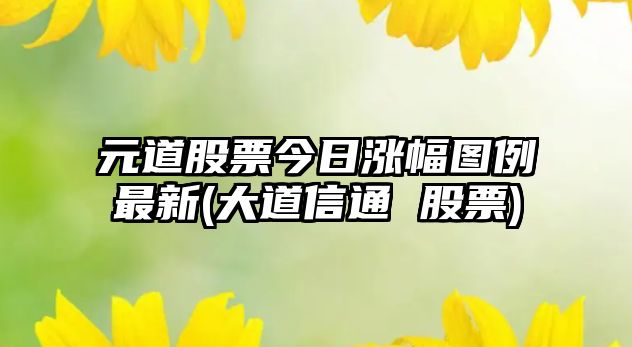 元道股票今日漲幅圖例最新(大道信通 股票)