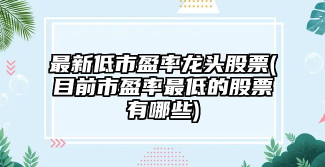 最新低市盈率龍頭股票(目前市盈率最低的股票有哪些)