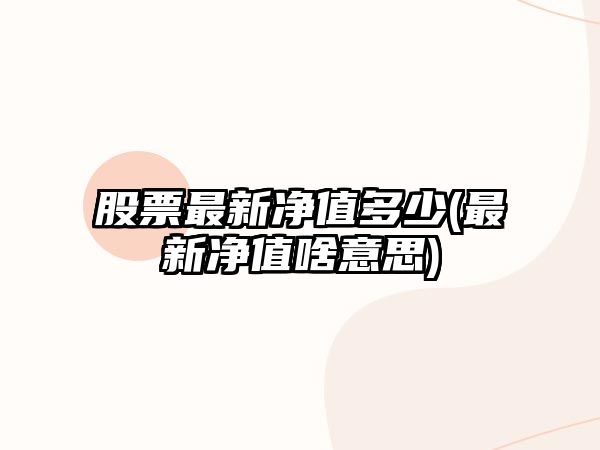 股票最新凈值多少(最新凈值啥意思)