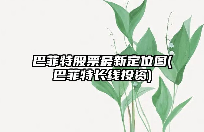 巴菲特股票最新定位圖(巴菲特長(cháng)線(xiàn)投資)