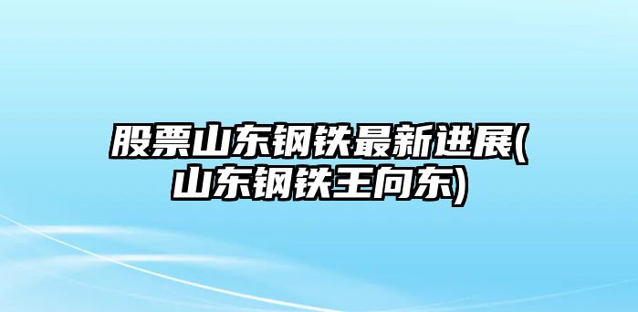 股票山東鋼鐵最新進(jìn)展(山東鋼鐵王向東)