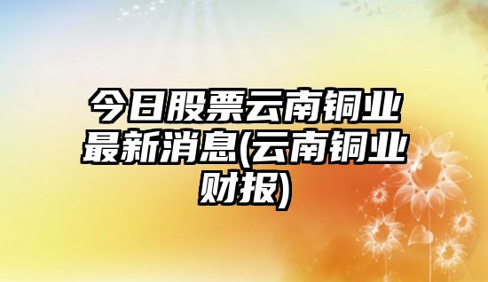 今日股票云南銅業(yè)最新消息(云南銅業(yè)財報)