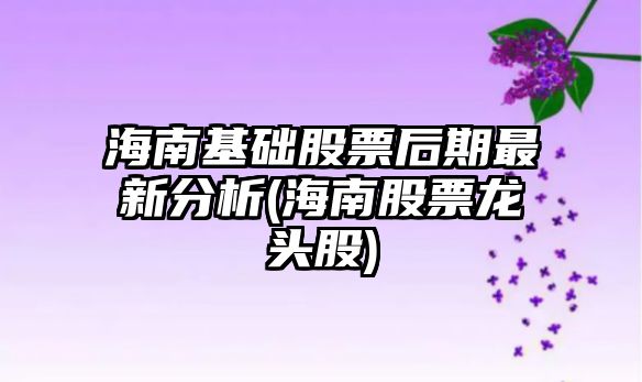 海南基礎股票后期最新分析(海南股票龍頭股)