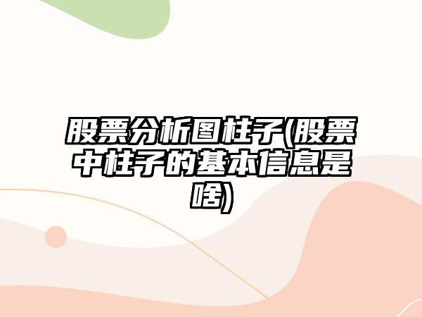 股票分析圖柱子(股票中柱子的基本信息是啥)