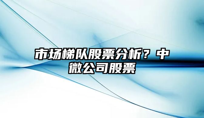 市場(chǎng)梯隊股票分析？中微公司股票