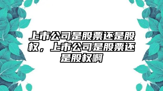 上市公司是股票還是股權，上市公司是股票還是股權啊