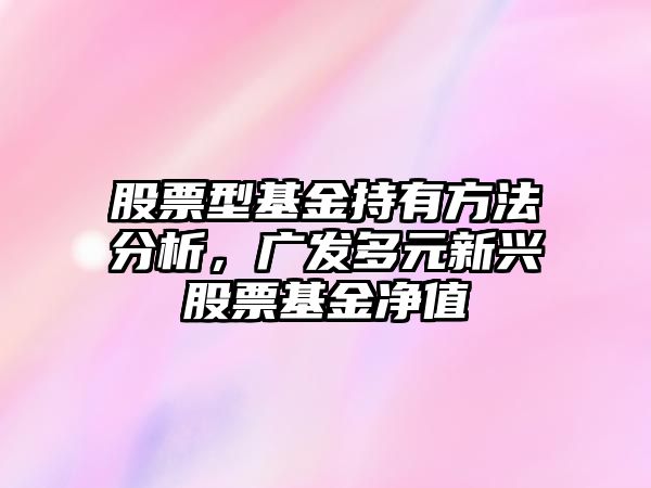 股票型基金持有方法分析，廣發(fā)多元新興股票基金凈值