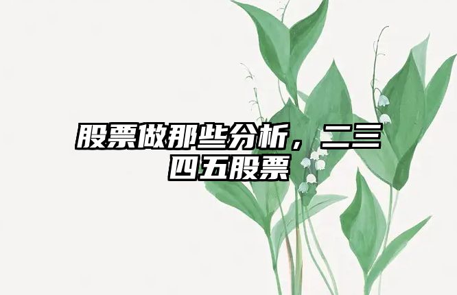 股票做那些分析，二三四五股票