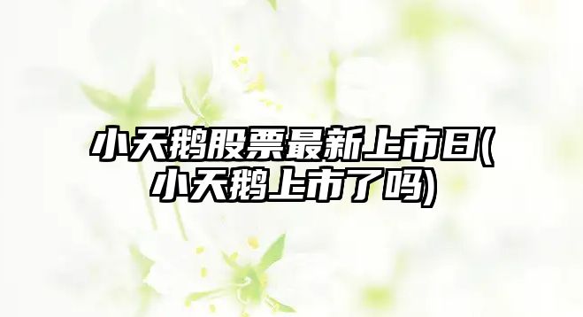 小天鵝股票最新上市日(小天鵝上市了嗎)