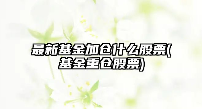 最新基金加倉什么股票(基金重倉股票)