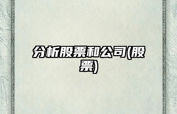 分析股票和公司(股票)