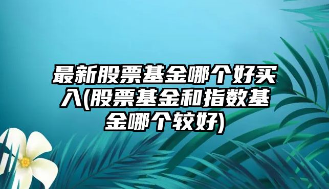 最新股票基金哪個(gè)好買(mǎi)入(股票基金和指數基金哪個(gè)較好)