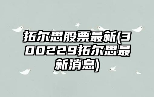 拓爾思股票最新(300229拓爾思最新消息)