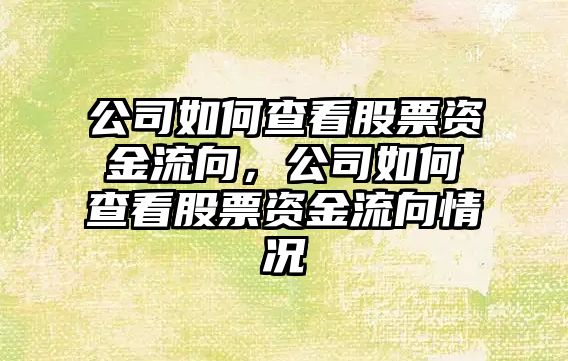 公司如何查看股票資金流向，公司如何查看股票資金流向情況