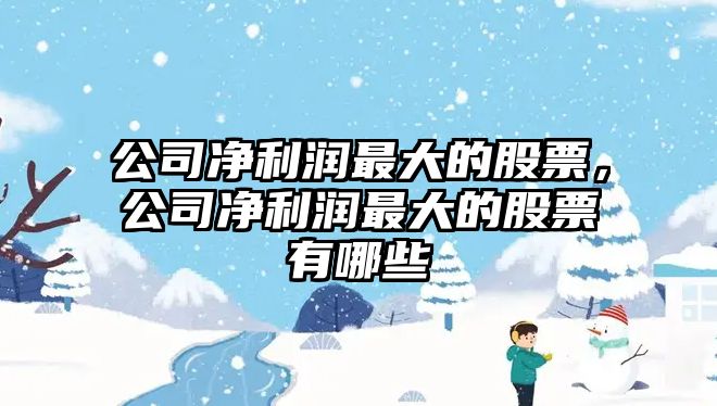 公司凈利潤最大的股票，公司凈利潤最大的股票有哪些