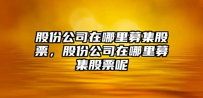 股份公司在哪里募集股票，股份公司在哪里募集股票呢