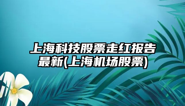 上?？萍脊善弊呒t報告最新(上海機場(chǎng)股票)