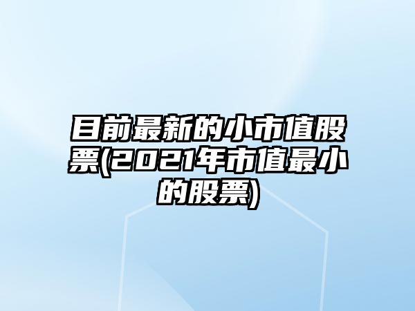 目前最新的小市值股票(2021年市值最小的股票)