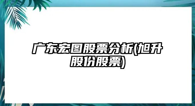 廣東宏圖股票分析(旭升股份股票)