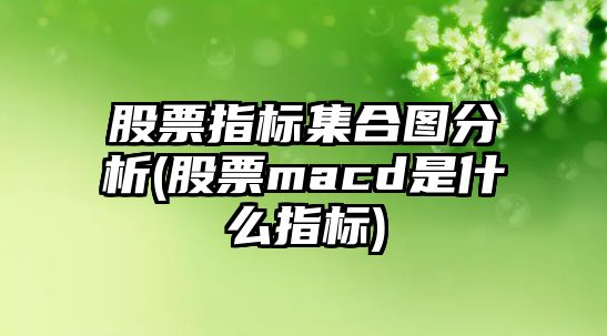 股票指標集合圖分析(股票macd是什么指標)