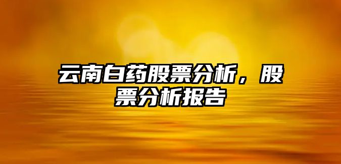 云南白藥股票分析，股票分析報告