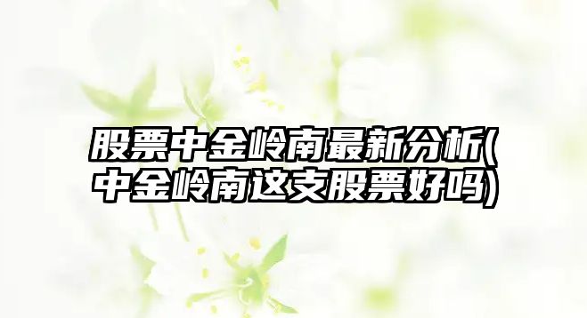 股票中金嶺南最新分析(中金嶺南這支股票好嗎)