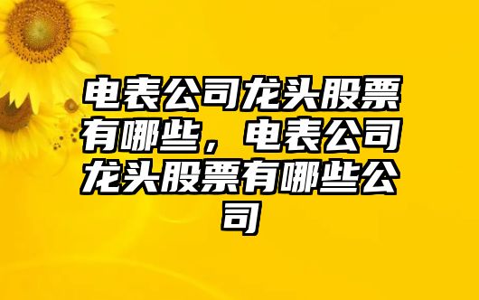 電表公司龍頭股票有哪些，電表公司龍頭股票有哪些公司