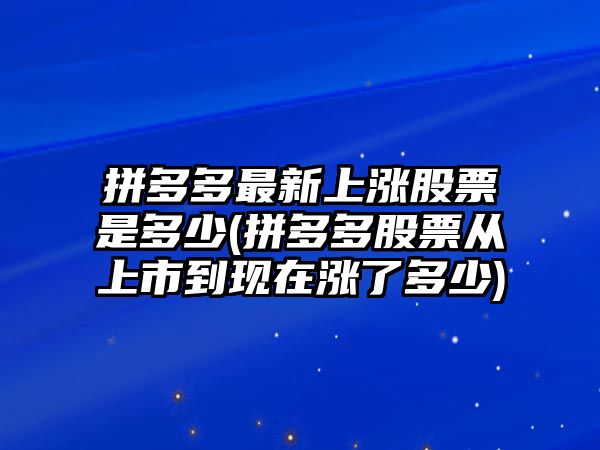 拼多多最新上漲股票是多少(拼多多股票從上市到現在漲了多少)