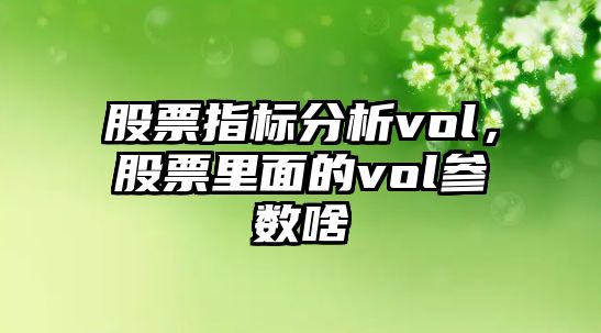 股票指標分析vol，股票里面的vol參數啥