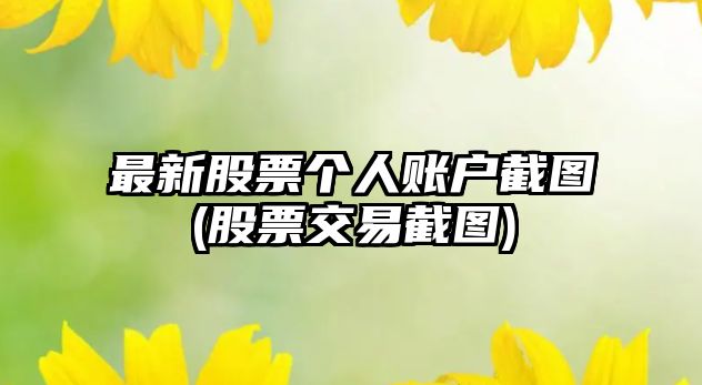 最新股票個(gè)人賬戶(hù)截圖(股票交易截圖)