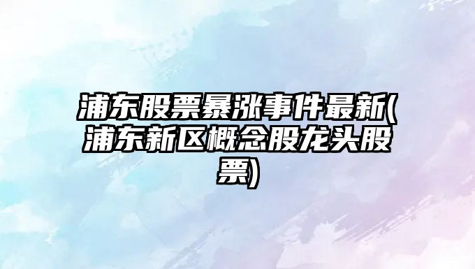 浦東股票暴漲事件最新(浦東新區概念股龍頭股票)