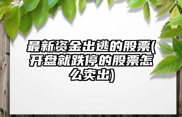 最新資金出逃的股票(開(kāi)盤(pán)就跌停的股票怎么賣(mài)出)