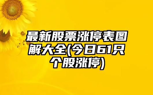 最新股票漲停表圖解大全(今日61只個(gè)股漲停)