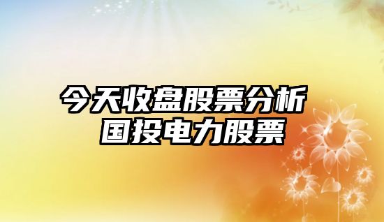 今天收盤(pán)股票分析 國投電力股票