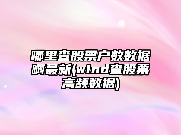 哪里查股票戶(hù)數數據啊最新(wind查股票高頻數據)