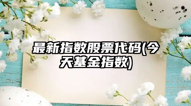 最新指數股票代碼(今天基金指數)