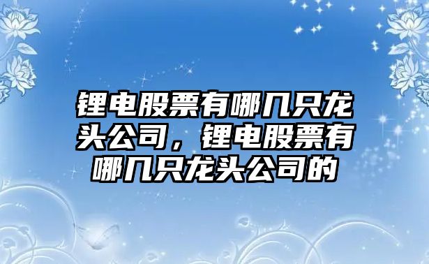 鋰電股票有哪幾只龍頭公司，鋰電股票有哪幾只龍頭公司的