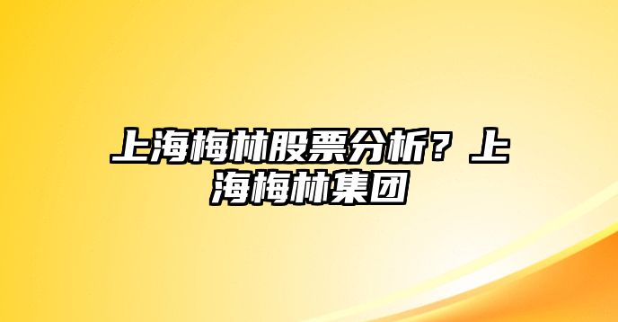 上海梅林股票分析？上海梅林集團