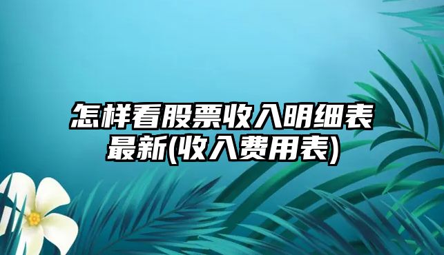 怎樣看股票收入明細表最新(收入費用表)