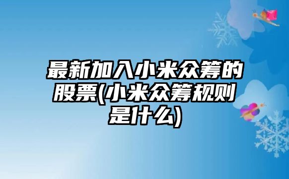 最新加入小米眾籌的股票(小米眾籌規則是什么)