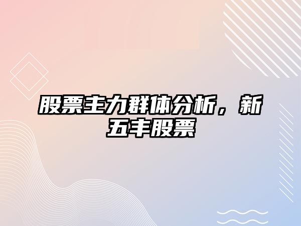 股票主力群體分析，新五豐股票