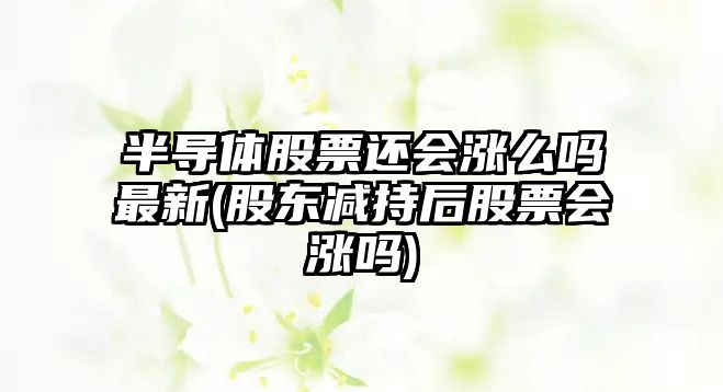 半導體股票還會(huì )漲么嗎最新(股東減持后股票會(huì )漲嗎)