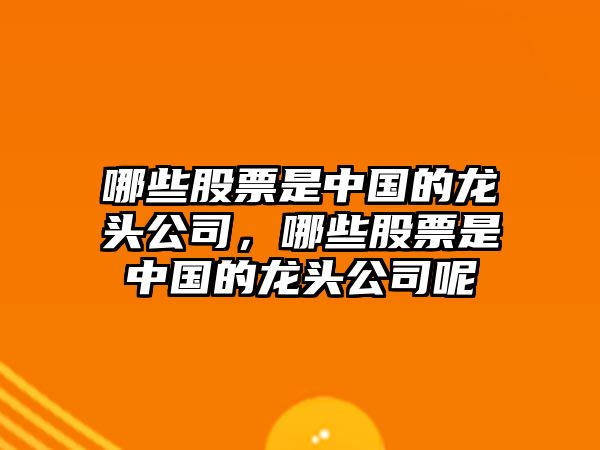 哪些股票是中國的龍頭公司，哪些股票是中國的龍頭公司呢