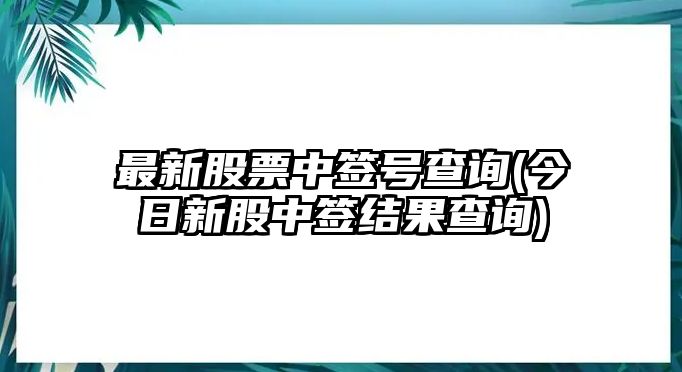 最新股票中簽號查詢(xún)(今日新股中簽結果查詢(xún))