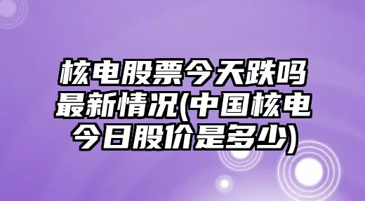 核電股票今天跌嗎最新情況(中國核電今日股價(jià)是多少)