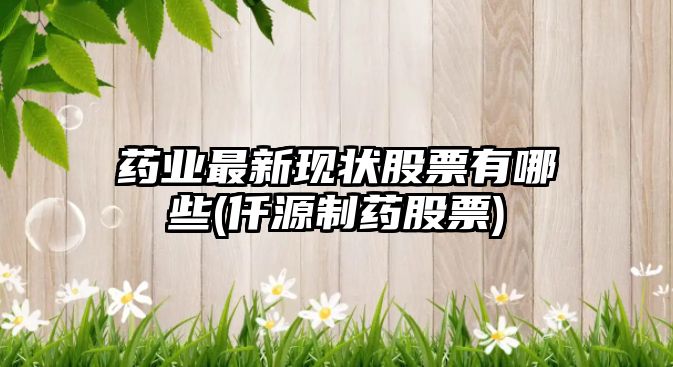 藥業(yè)最新現狀股票有哪些(仟源制藥股票)